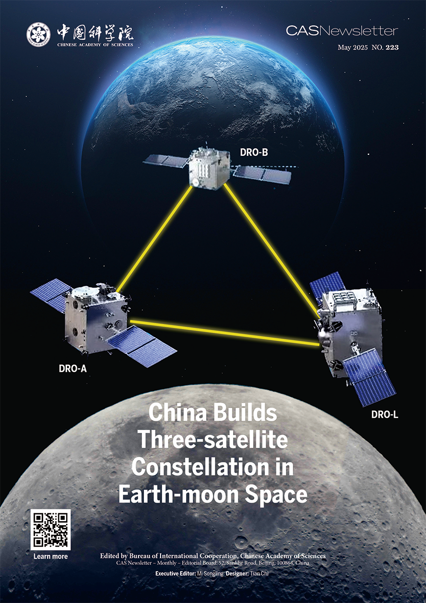 223（May 2025）<br/>